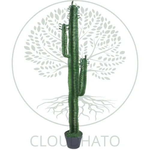 Office Decoration Plants